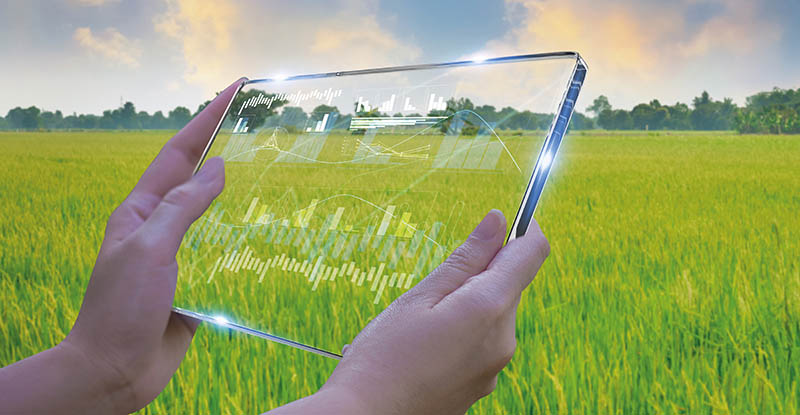 Smart farm monitoring systems for paddy fields