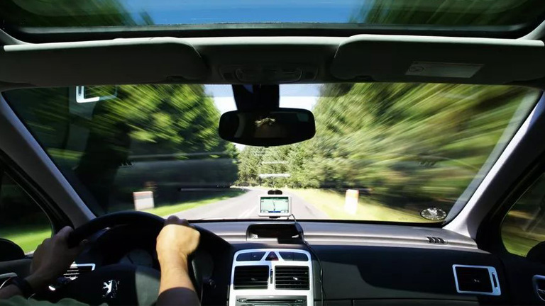 木々の中を走り抜ける車を運転しています