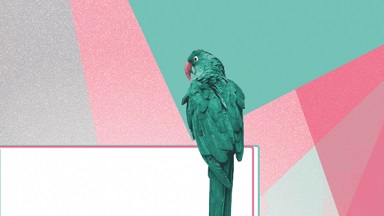 KI ist eine Schlüsseltechnologie, die sich in den kommenden Jahren nicht nur maßgeblich auf unser tägliches Leben, sondern auch auf die Wettbewerbsfähigkeit der gesamten Wirtschaft auswirkt.