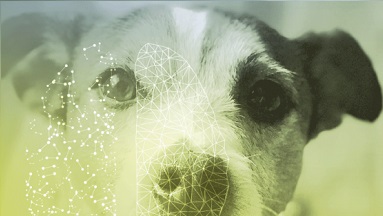 Mit verschiedenen Ansätzen der Datenauswertung sollen Maschinen intelligent werden.
