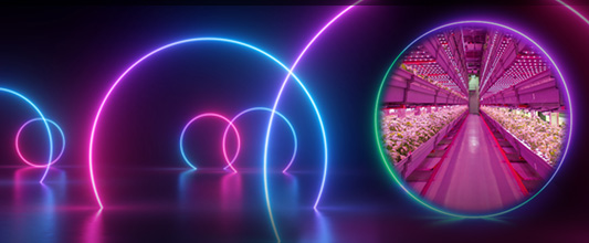 The Perfect Match Horticulture